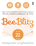 BeeBlitz Flier