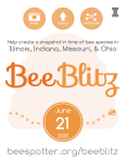 BeeBlitz announcement flier