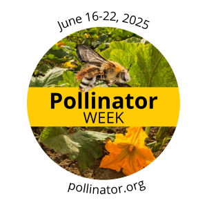 National Pollinator Week badge