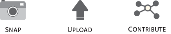 Get involved: Snap, Upload, Contribute!